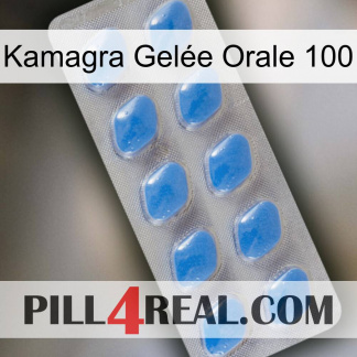 Kamagra Gelée Orale 100 22